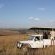 Game drives 