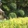 Lamor Guest House - 148768