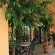 Okajo Safari Lodge - 149041