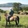 Horse Riding