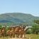 Game Drive