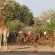 Mashatu Game Reserve