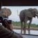 Mashatu Game Reserve