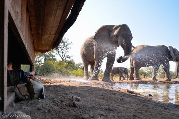 Mashatu Game Reserve