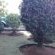 Hamba Kancane Ma-Africa Guest House - 150246