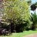 Pennylane Guest House - 150689