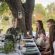 Tulela Safari Lodge - 151042