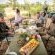Tulela Safari Lodge - 151057