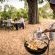 Tulela Safari Lodge - 151058