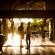 Tulela Safari Lodge - 151077