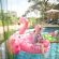Tulela Safari Lodge - 151081