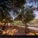 Tulela Safari Lodge - 151089
