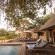 Tulela Safari Lodge - 151103