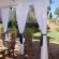 Ravenscliff Manor - 151549