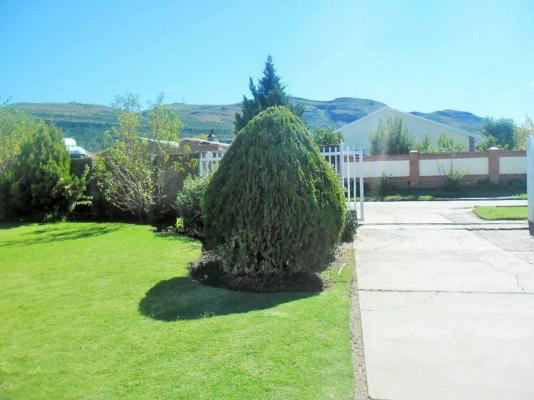Khol Newman Bed & Breakfast - 151759