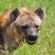 Zwartkloof Private Game Reserve - 151815