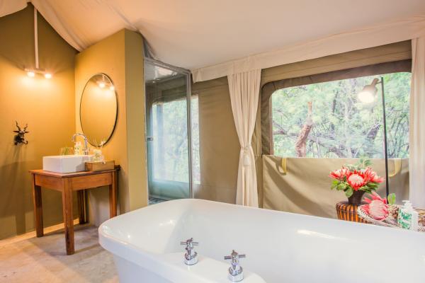 Zwartkloof Private Game Reserve - 151831