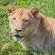 Zwartkloof Private Game Reserve - 151856