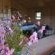 Nature's Loft - 151968