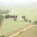 Dragons Landing Guest Farm - 152089