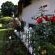 Sibsons House - 152258