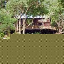 Luxury log house