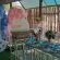 Hazyview Adventure Backpackers - 152761