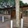 Hazyview Adventure Backpackers - 152762