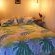 Hazyview Adventure Backpackers - 152772