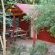 Hazyview Adventure Backpackers - 152791
