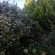 Butrin Guest House - 153029