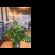 Le Bezz Guesthouse 