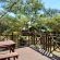 Acacia Bush Lodge - 153770