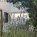 Chinta Hermanus - 153786