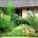 Palmwag Tzaneen - 153814