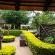 Palmwag Tzaneen - 153820