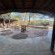 Kaoko Mopane Lodge & Campsite - 154173