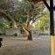 Aerotropolis Guest Lodge - 154295