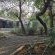 Aerotropolis Guest Lodge - 154296