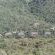 Addo Elephant Park Matyholweni Camp