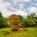 Flutterby Guesthouse - 154591