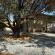 Flutterby Guesthouse - 154597
