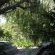 Mimosa Lodge - 154760
