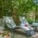 Mimosa Lodge - 154767