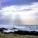 Sea Cottage - 154786