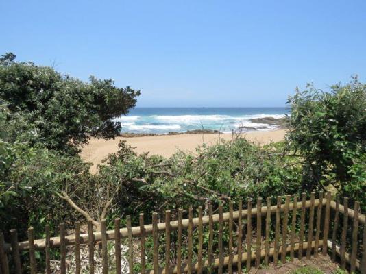 Crab Shack - 155008