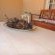 Stone Haven Two Bedroom