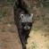 Ku Sungula Safari Lodge - 155571