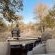 Ku Sungula Safari Lodge - 155572