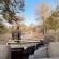Ku Sungula Safari Lodge - 155572
